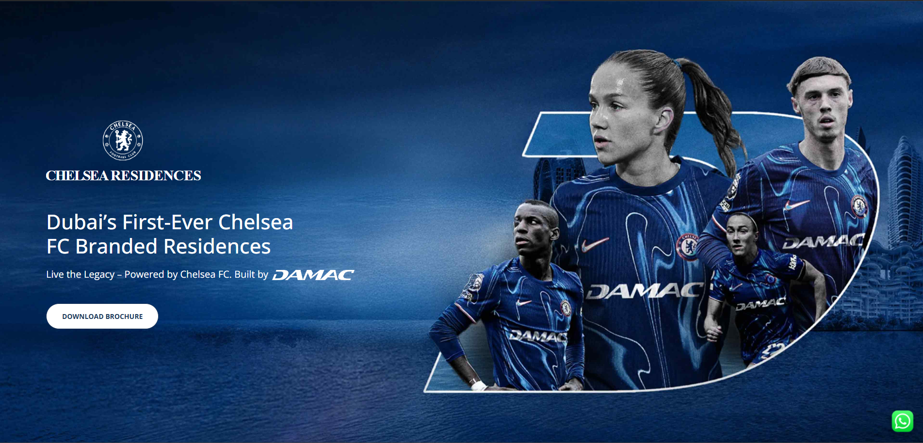 Personal Portfolio Images